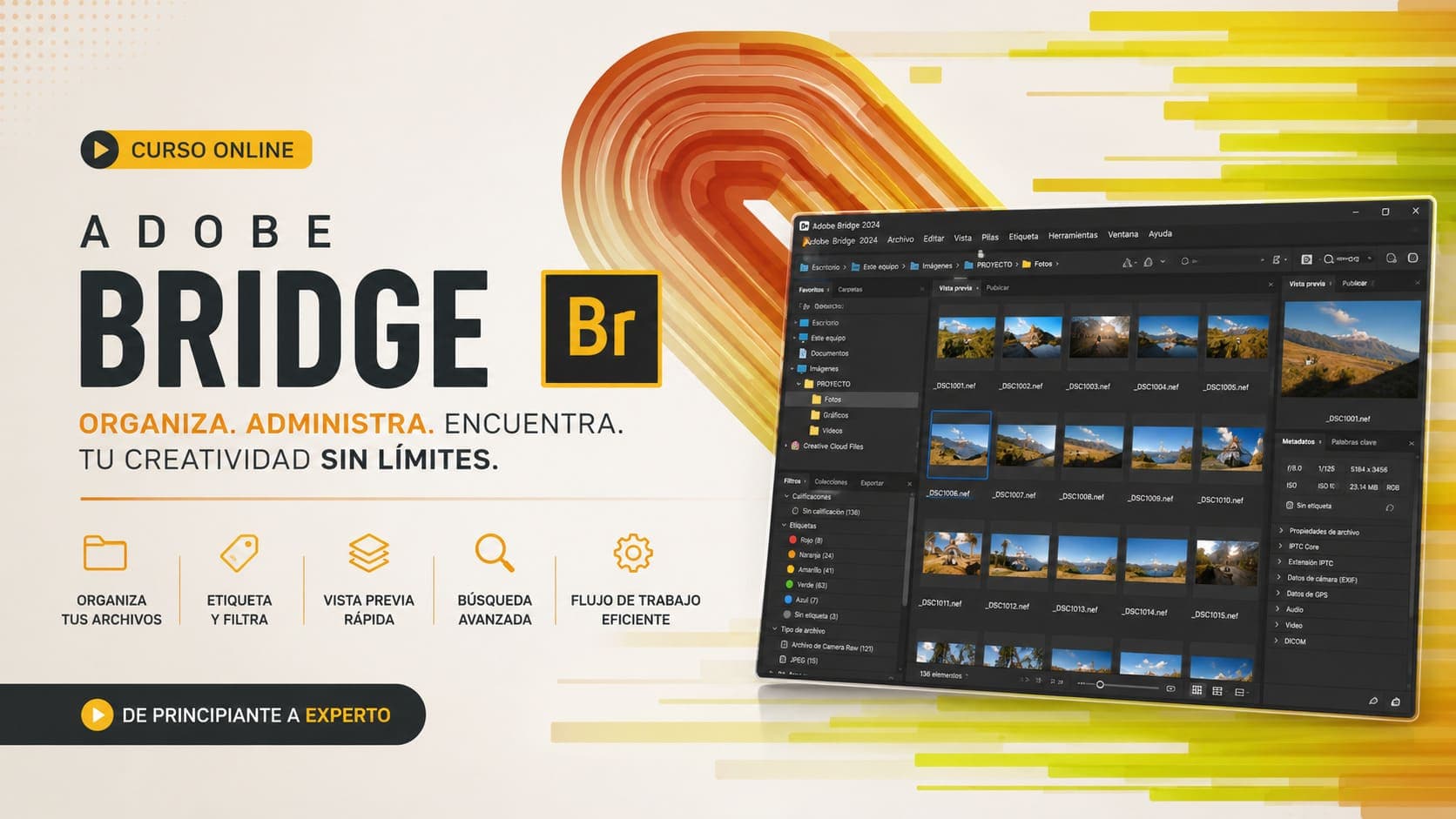 Curso Online de Adobe Bridge