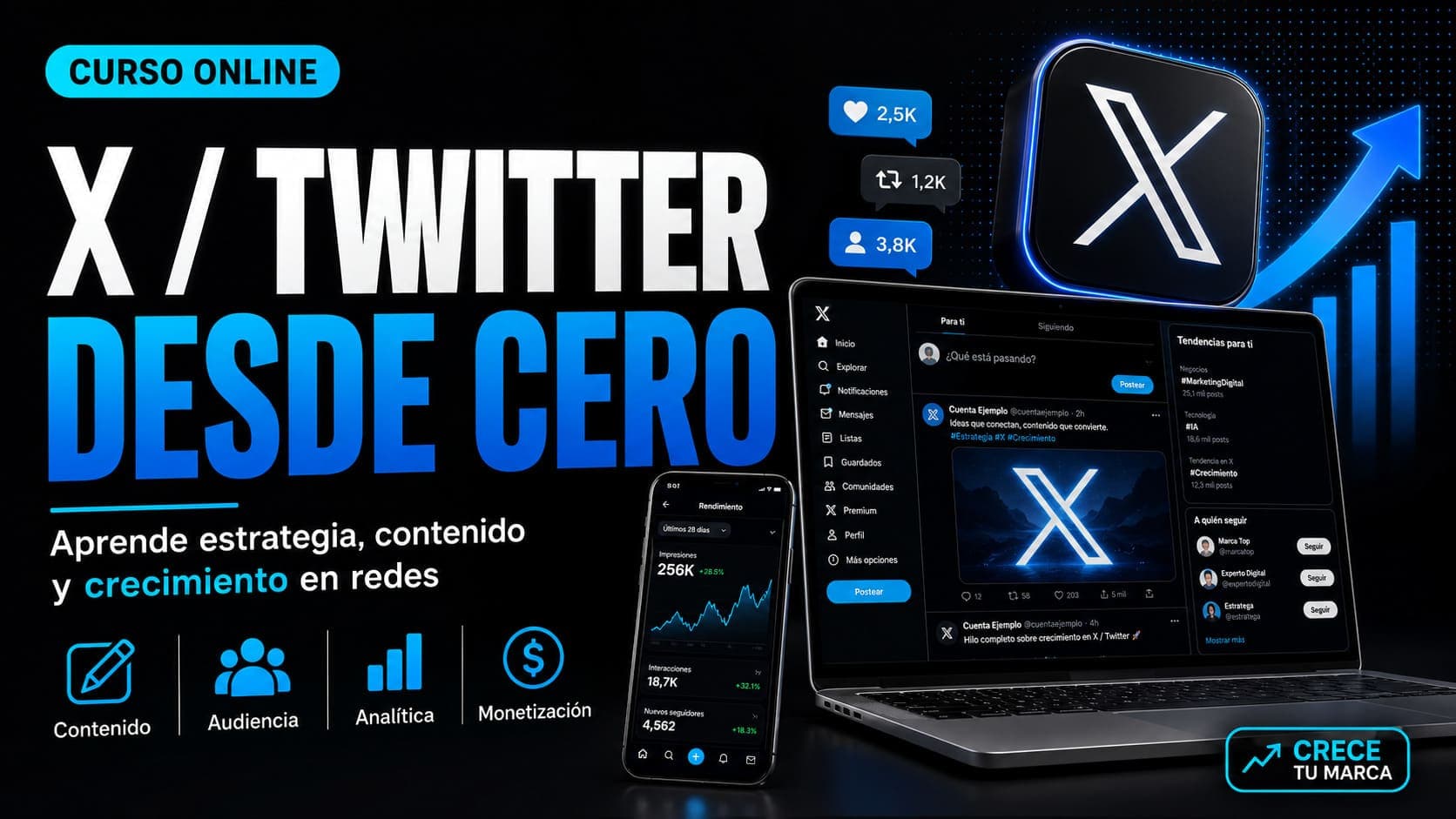 Curso Online de X / Twitter Desde Cero
